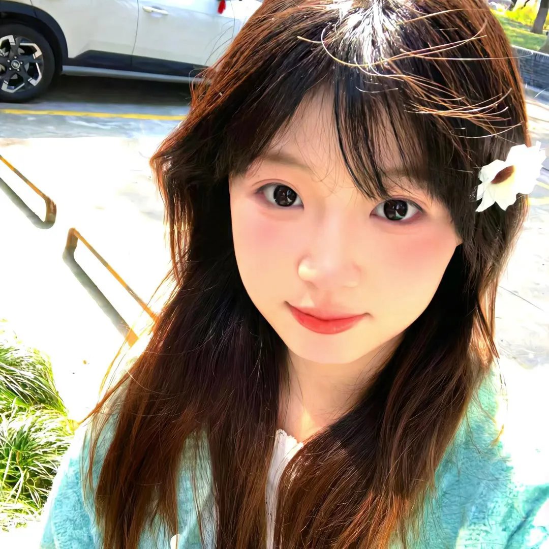 花好月又圆封面